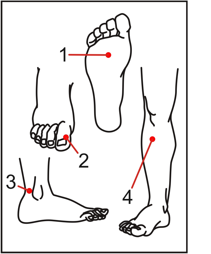 Точка ежедневно. Точки на стопе для массажа. Болевая точка на ноге на голени. Болевые точки для массажа. Массаж ног болевые точки.