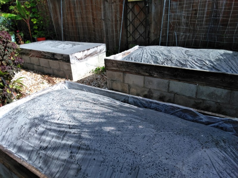 Sanderson's Table Top Beds 20180710