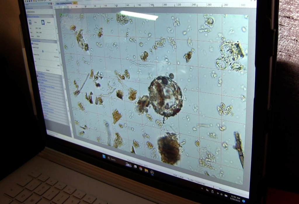 EM-1 -Boosting Compost's Microbial Diversity w/Compost Activator George10