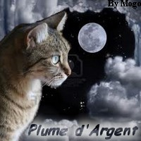 My galerie Plume_10