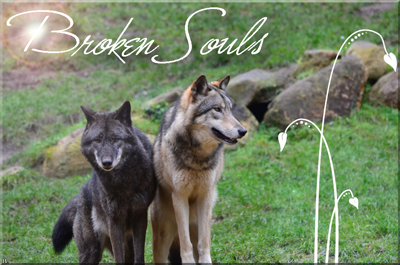 Broken Souls- Die Streuner Nindor10