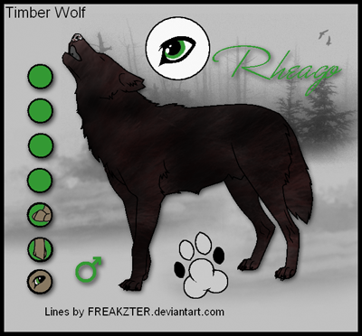 Erster Wolf - Seite 4 Rheago10