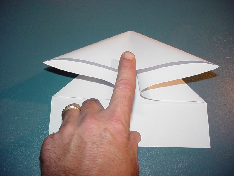 Paper Airplane for endurance and stunt Dsc00813