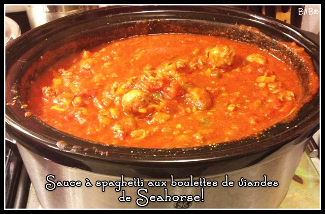 Sauce à Spaghetti aux Boulettes de viandes de Seahorse! :) Sauceb11