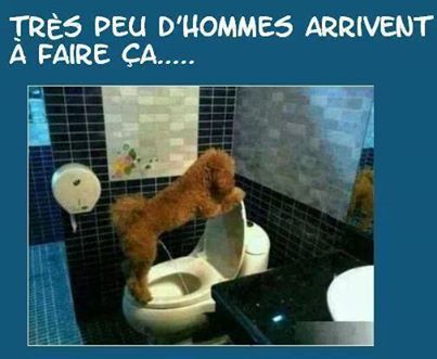 Humour , blagues et image drole - Page 28 14891213