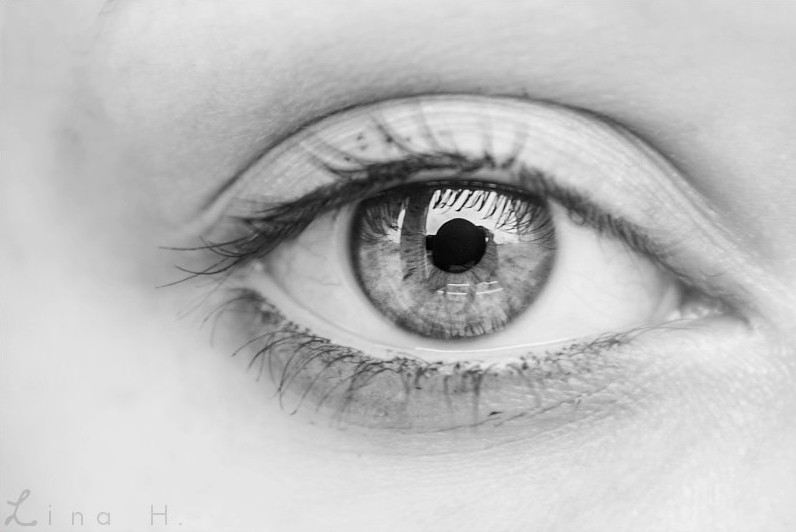 Black & White: Auge Auge_s10