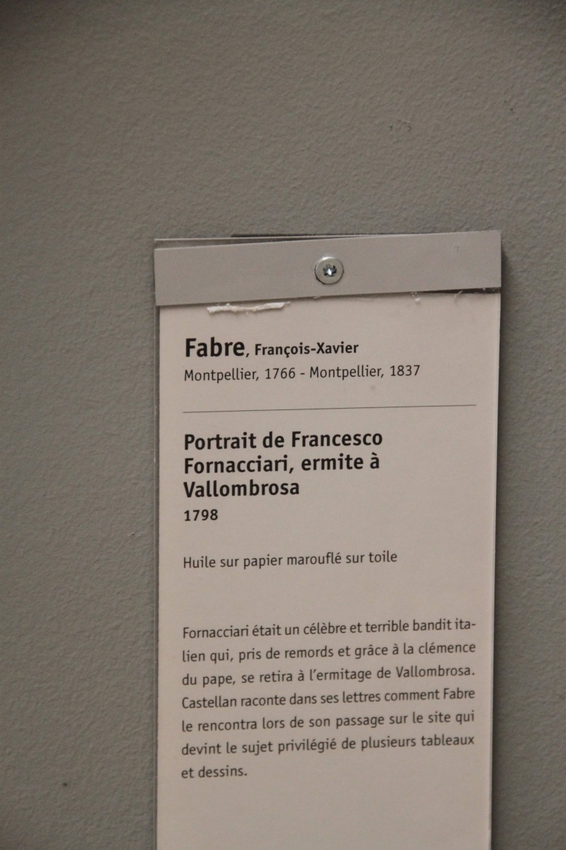 Musée Fabre, Montpellier Img_9064
