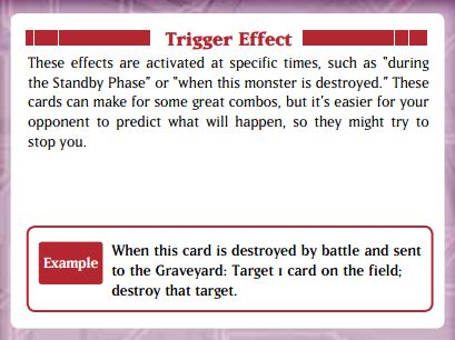 Rule Book Trigge10