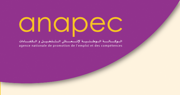 من طرق البحث عن عمل وكالة " ANAPEC " En_tet10