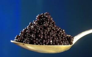 je vis dans le luxe - du luxe à la louche Caviar10