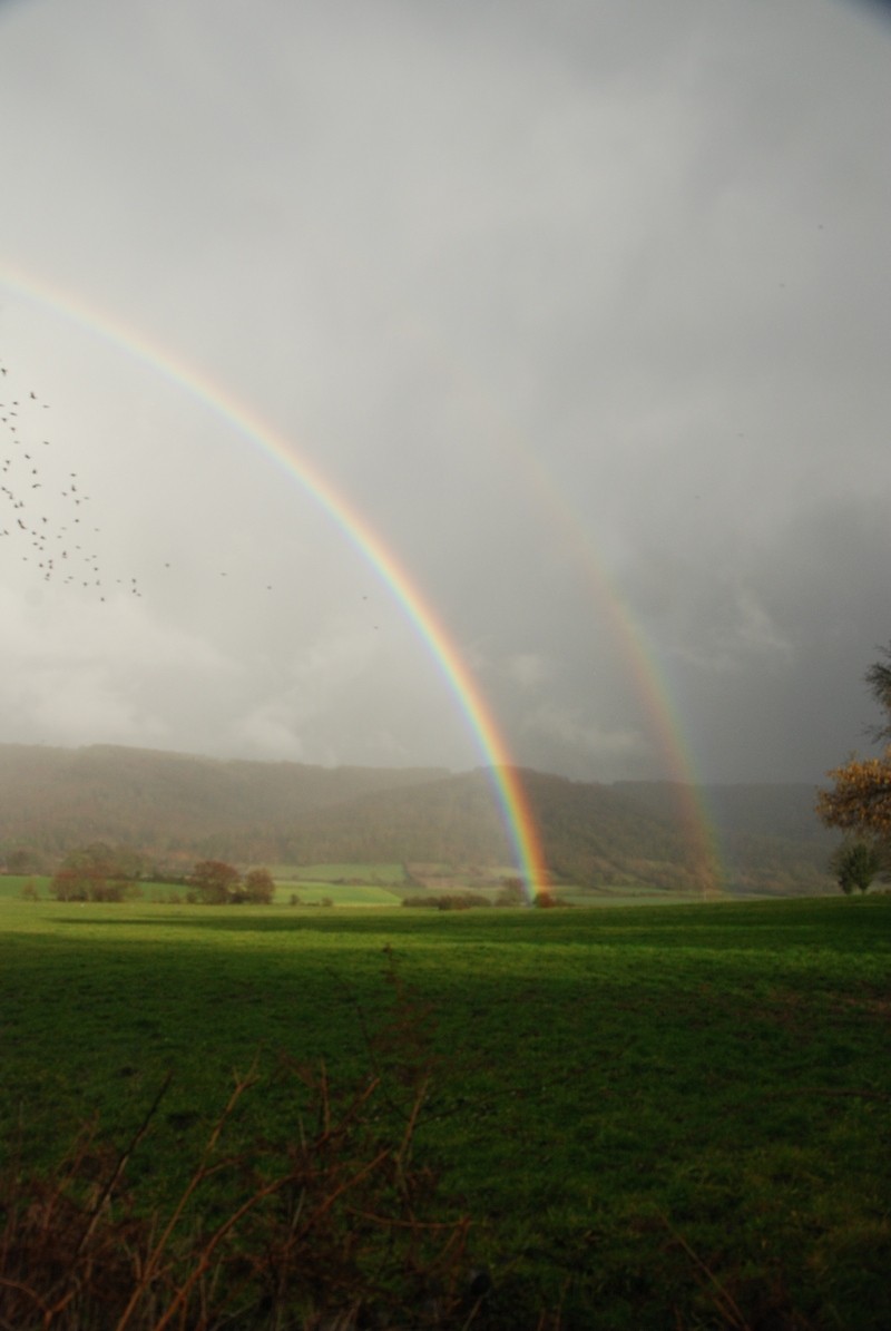 pluie et soleil... Dsc_2312