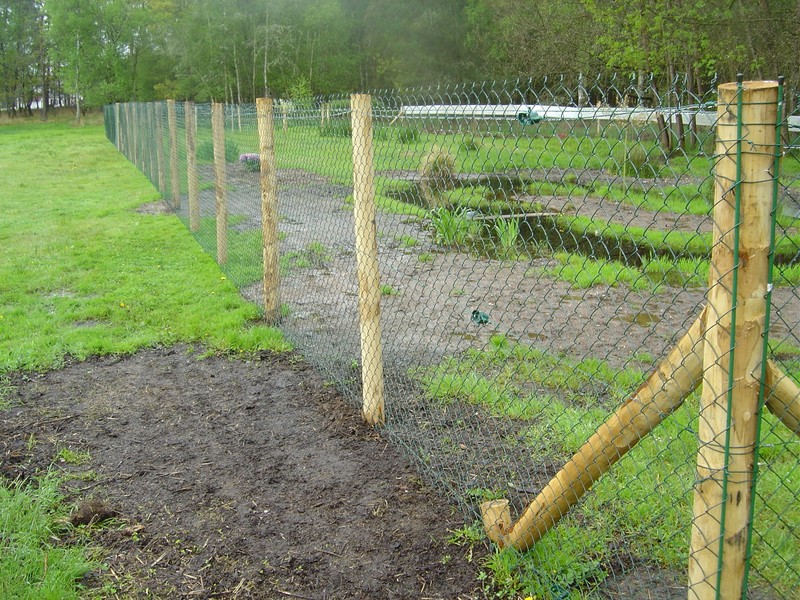 Construction d'un parc à canard d'ornement. Canard59