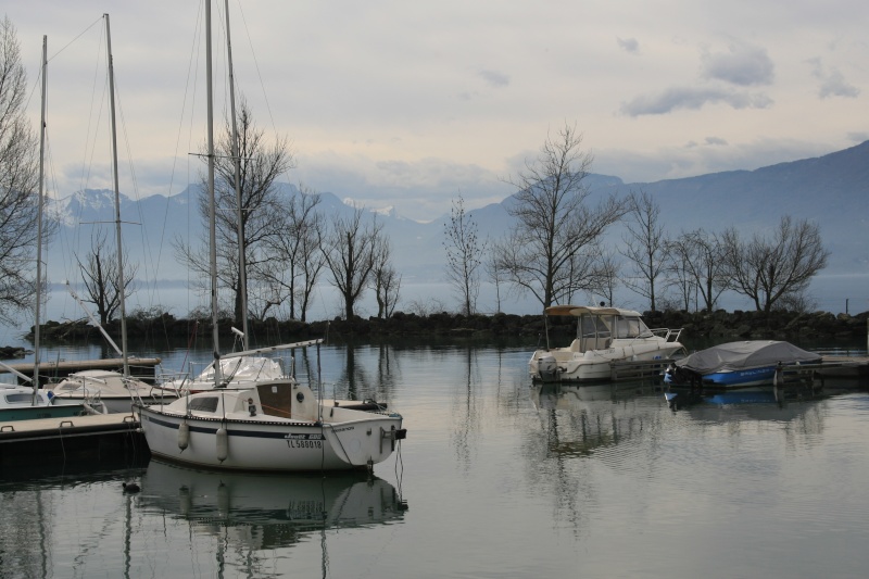 Couleurs d'hiver sur le Lac du Bourget (série en cours) Week-e13