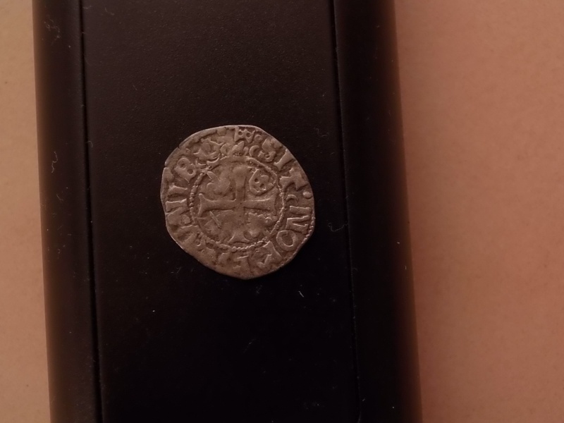 Monnaie à identifier SVP Louis XII ? Pc120312