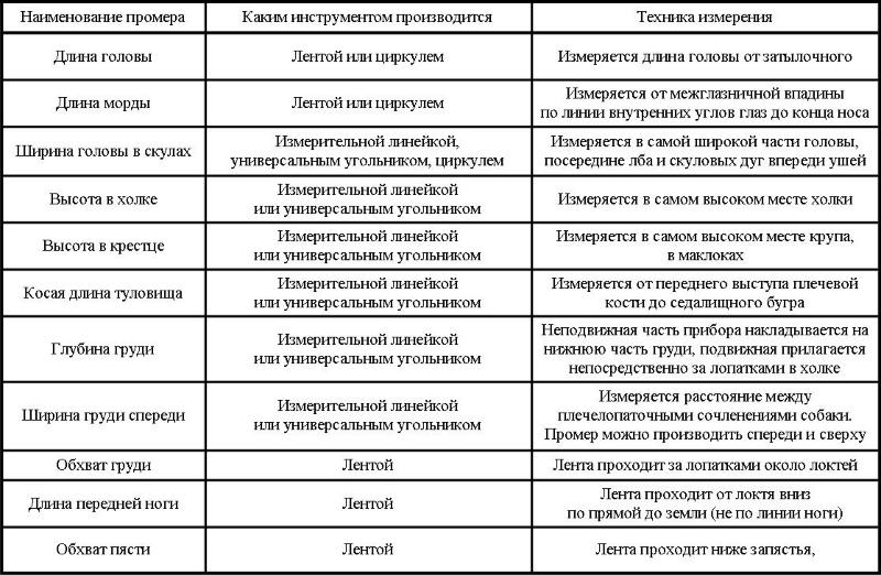 Промеры щенков и таблица 57334410