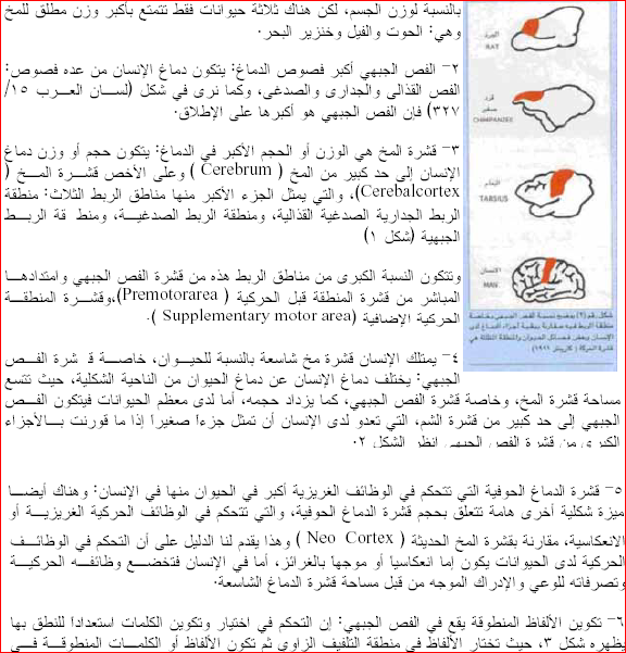 الناصيه والفص الجبهى الدماغى للاستاذ الدكتور محمد يوسف سكر الجزء الاول 311