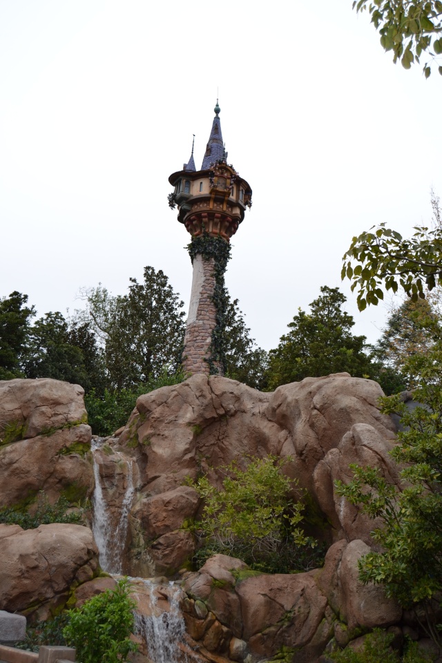Notre séjour chez Mickey en janvier 2014 - Walt Disney World - Page 2 Dsc_0020