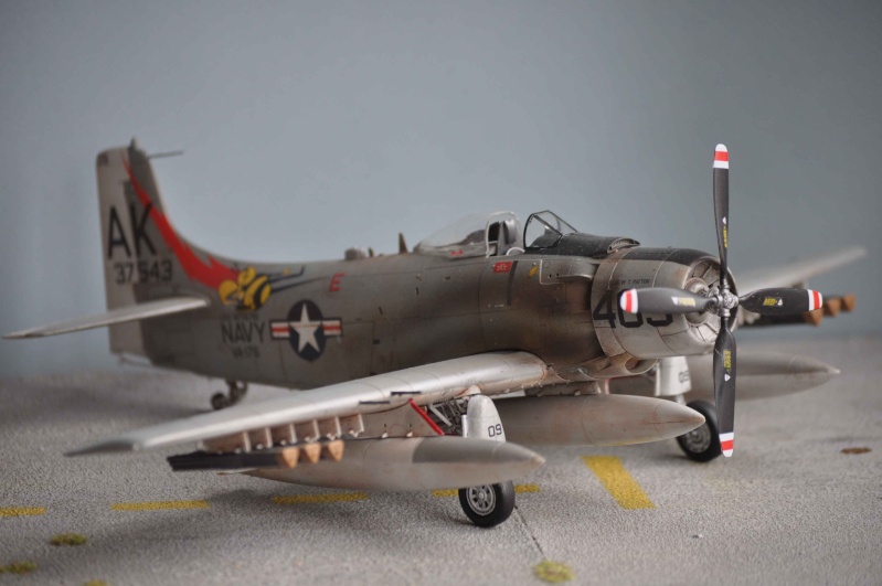AH1 skyraider Dsc_0024
