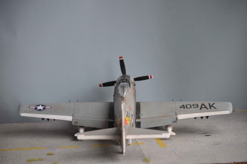 AH1 skyraider Dsc_0025