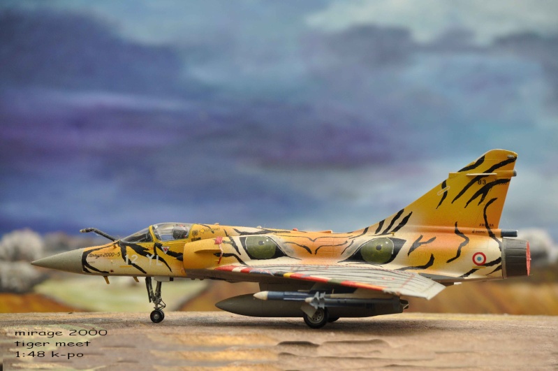 mirage 2000 tiger meet heller 1:48 Nikon_41