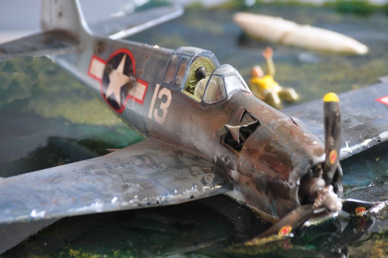 diorama 1:48 sauvez le pilote de la noyade!!! Nikon_61