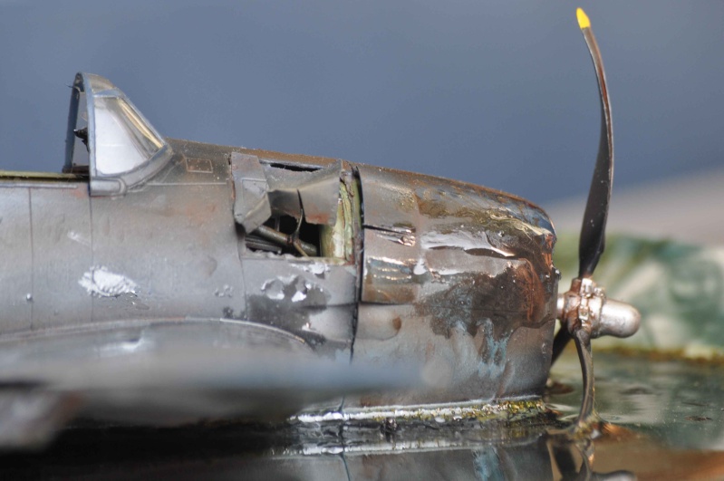 diorama 1:48 sauvez le pilote de la noyade!!! Nikon_66