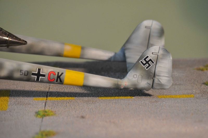 focke wulf 189 over Russia  1/48 GWH Nikon_89