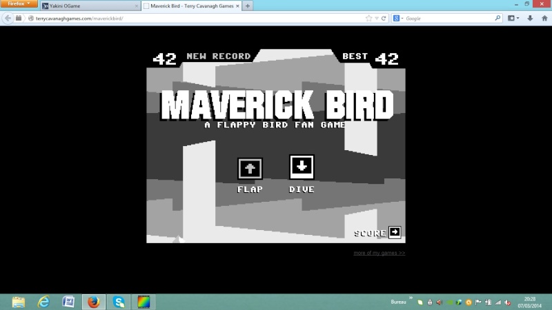 Jeu : Maverick Bird Photo_10