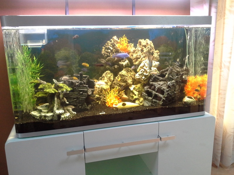 mon aquarium 320 20140314