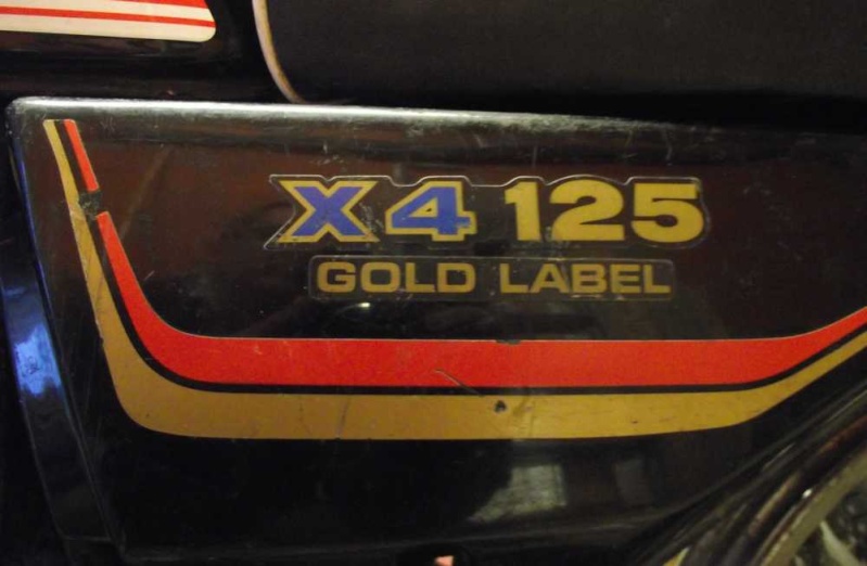 Moteur 125 gt X4 et x4 gold label Carter14