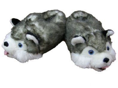 Chausson et husky