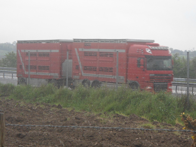 DAF XF (euro 5 ) - Page 14 Dsc02134