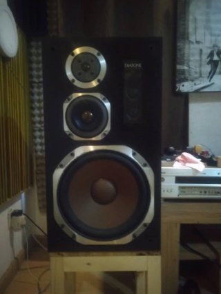 Diatone DS73 Speaker (Sold) Photo-10
