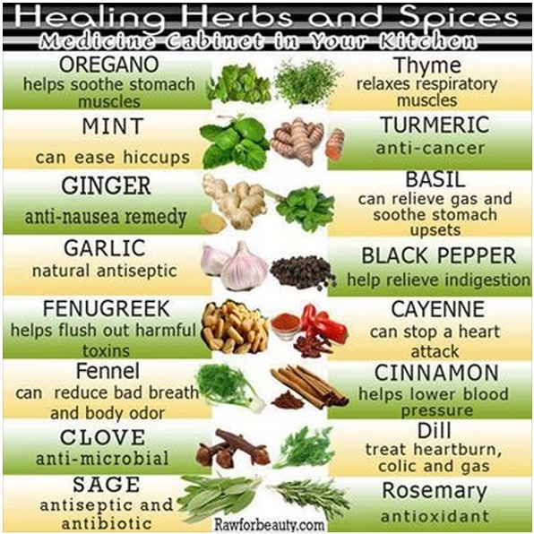 Healing Herbs and Spices Herbs10