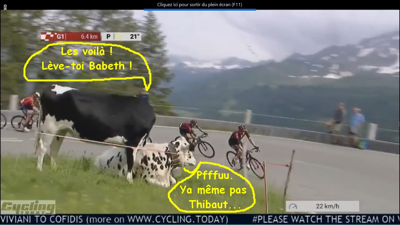 Tour de Suisse VG 2019 - Page 13 Sans_213