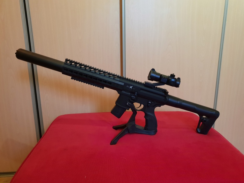 Mon nouveau Précieux : Sig Sauer MCX 20181110
