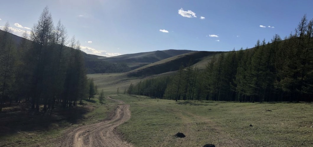 Flore et Faune de Mongolie mai 2018 ... Dsc_0246