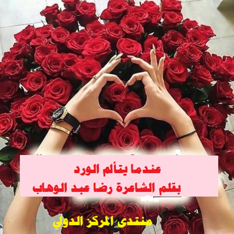 عندما يتألم الورد بقلم الشاعرة رضا عبد الوهاب Bwcito10