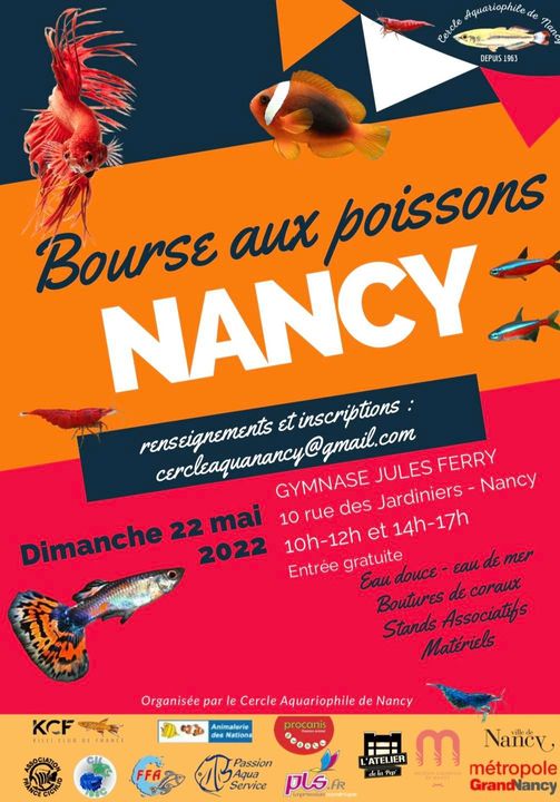Nancy (54) Bourse aux poissons le 22 mai 2022 27492810