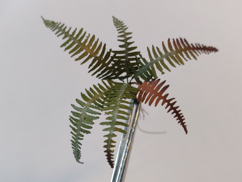 Tuto : Réaliser des plantes tropicales au traceur Silhouette Img_5120