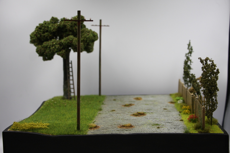 Les Taxis de la Marne diorama au 1/35 ème - Page 4 Img_6730