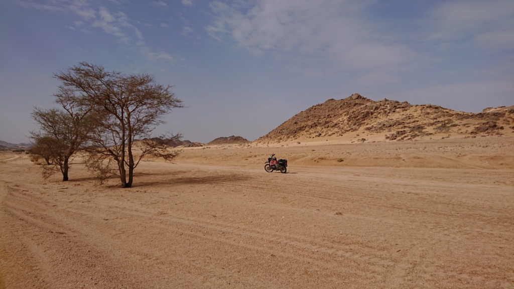 Un voyage au Sahara algérien Dsc_0513