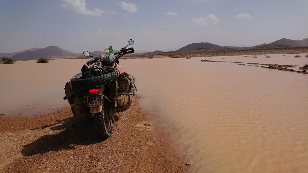 Un voyage au Sahara algérien Dsc_0515