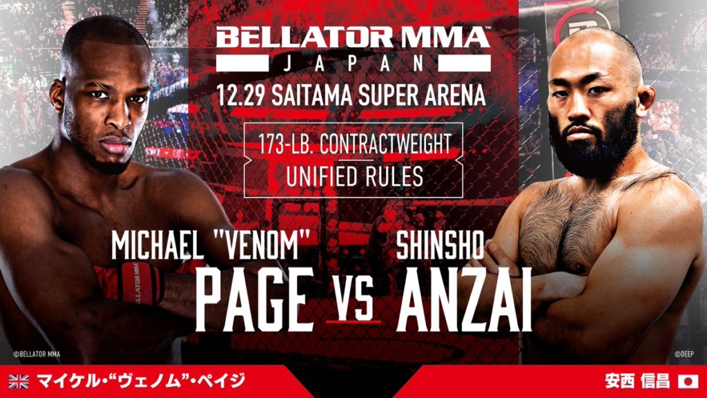 Bellator 237: Fedor vs. Rampage. Elk62t10