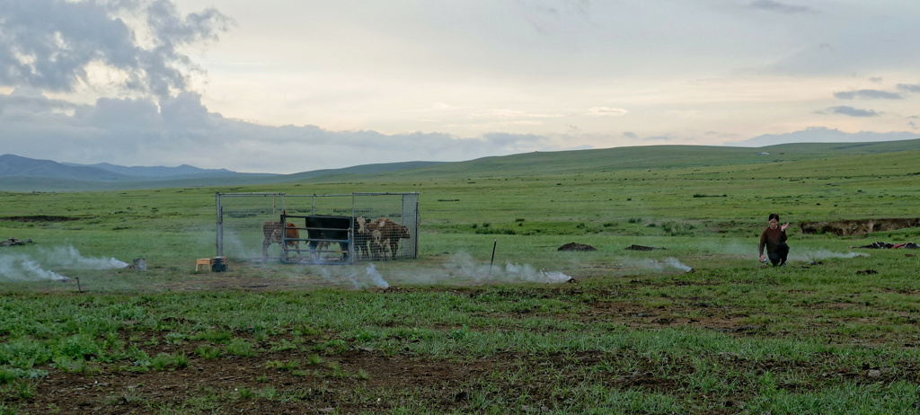 Mongolie août 2024 P1010512