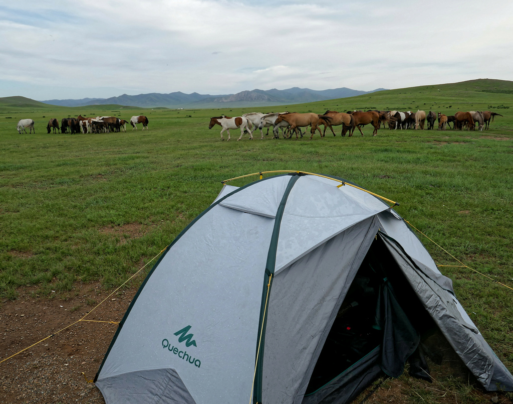 Mongolie août 2024 P1010611