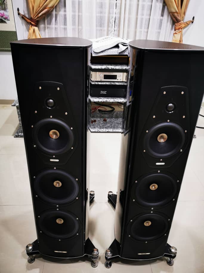 Sonus Faber Amati Futura (Limited Edition)  Img-2111