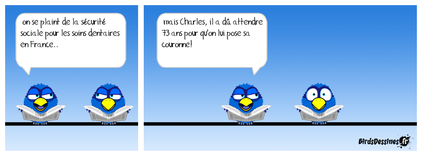 Le monde des "Birds"... L'Humour à la portée de tous ! Boudu112