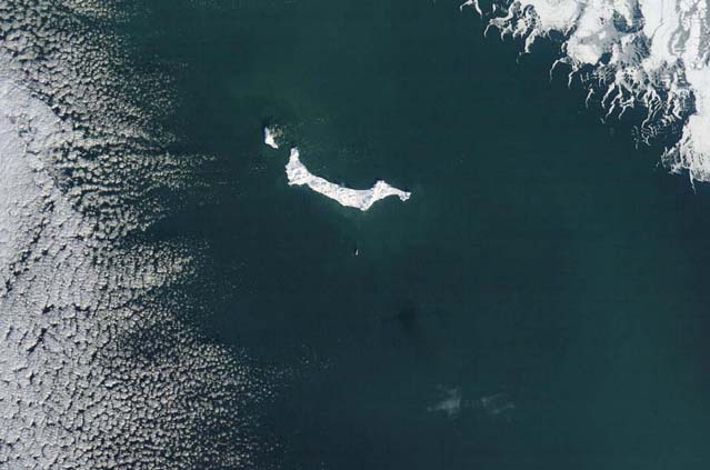 Площадь плавучего льда в Беринговом море - самая маленькая за последние 5500 лет. USGS, UAF. США  A19