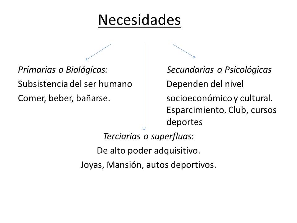 Necesidades- Bienes. Empresa. Diapos11